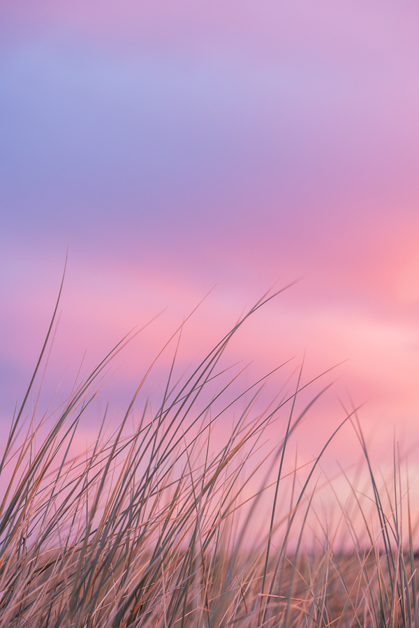 Dag 3 Terschelling klein-17