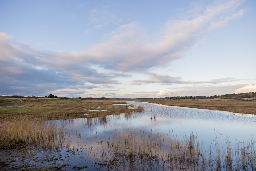 Natuur november Terschelling klein-48