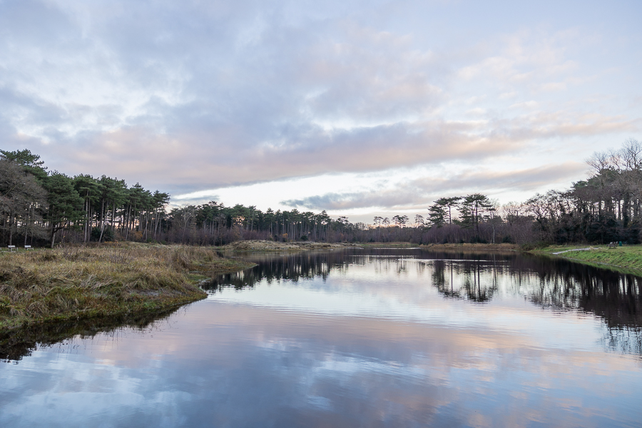 Natuur november Terschelling klein-58